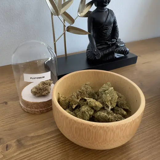 Fleurs de CBD, Plutonium