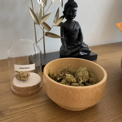 Fleurs de CBD, Nobydick