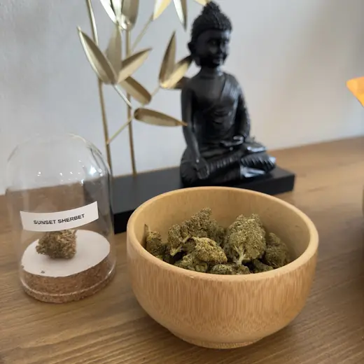 Fleurs de CBD, Sunset Sherbet