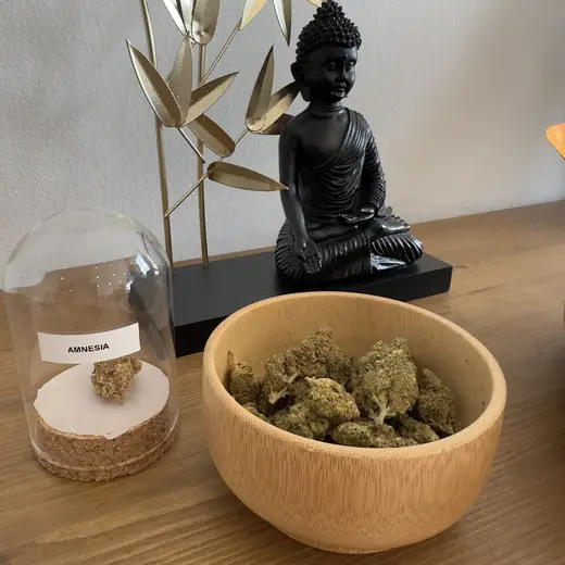 Fleurs de CBD, Amnesia