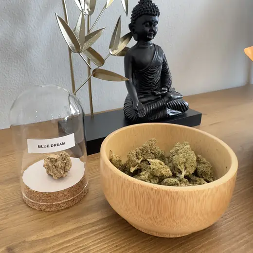 Fleurs de CBD, Blue Dream