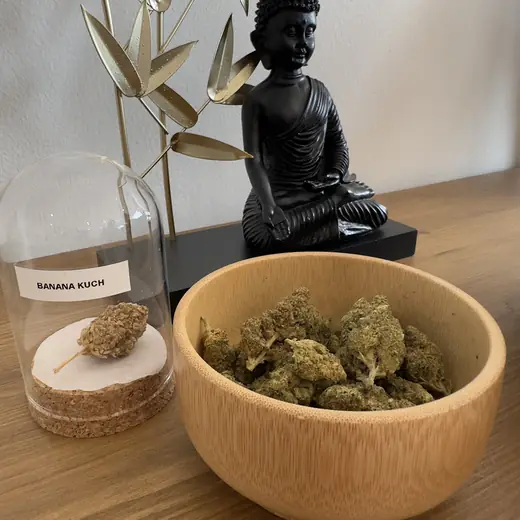 Fleurs de CBD, Banana Kush